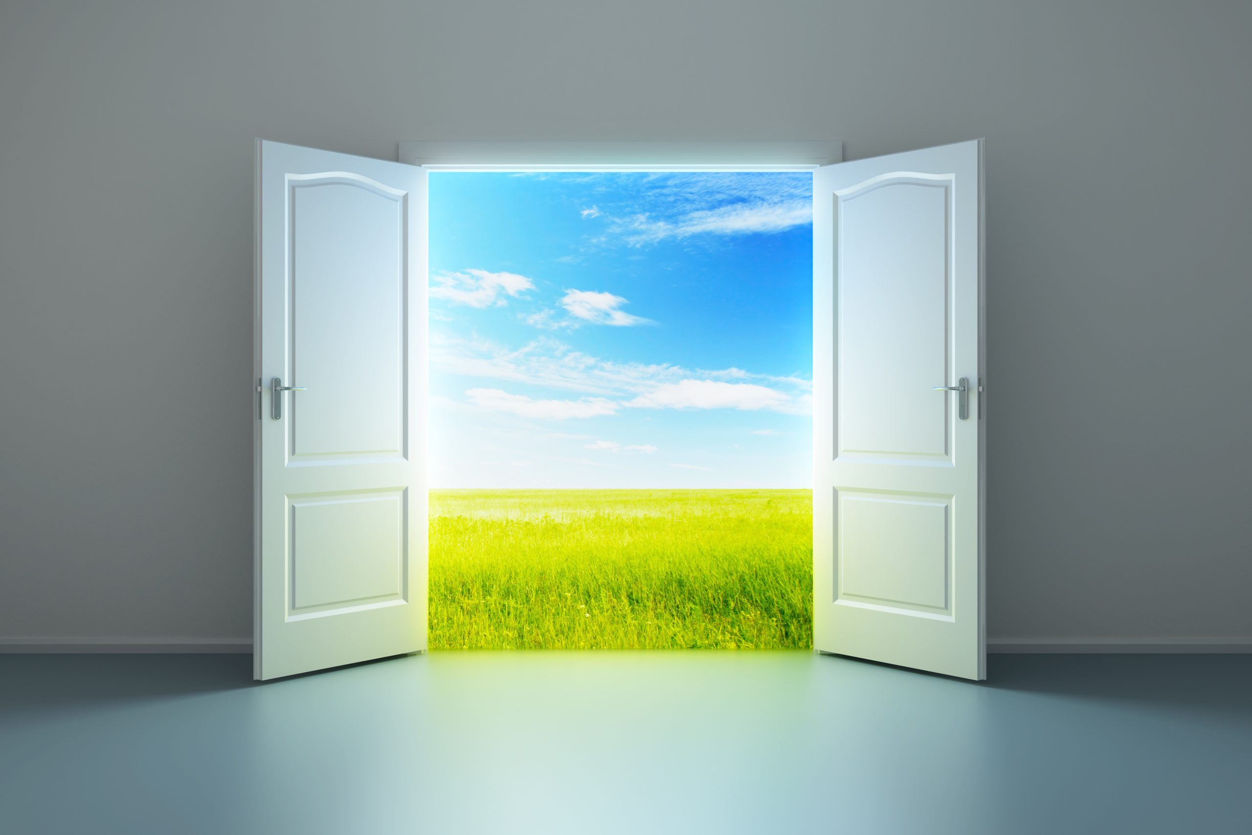 Что означает открытой двери. Открытые двери. Дверь открывается. Дверь в природу. Дверь в будущее.